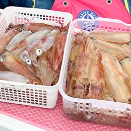 利用されたお客様イメージ
